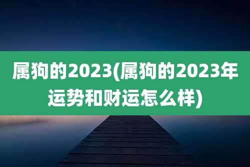 属狗的2023(属狗的2023年运势和财运怎么样)