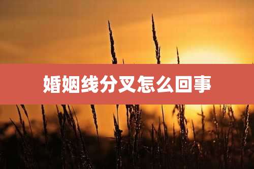 婚姻线分叉怎么回事