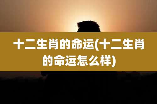 十二生肖的命运(十二生肖的命运怎么样)