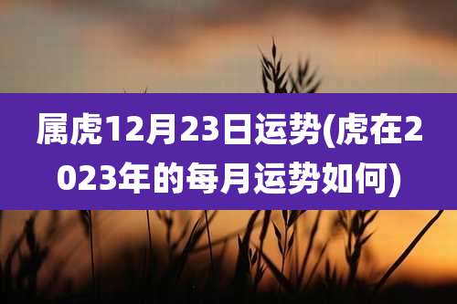 属虎12月23日运势(虎在2023年的每月运势如何)