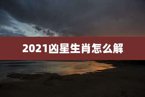 2021凶星生肖怎么解