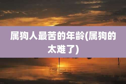 属狗人最苦的年龄(属狗的太难了)