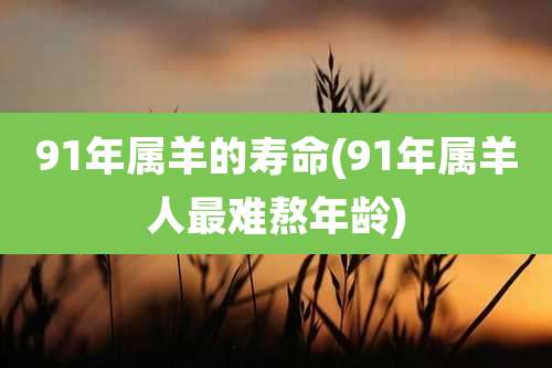 91年属羊的寿命(91年属羊人最难熬年龄)