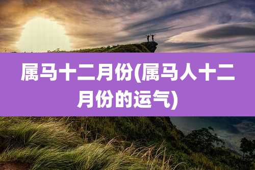 属马十二月份(属马人十二月份的运气)