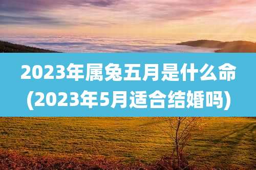 2023年属兔五月是什么命(2023年5月适合结婚吗)