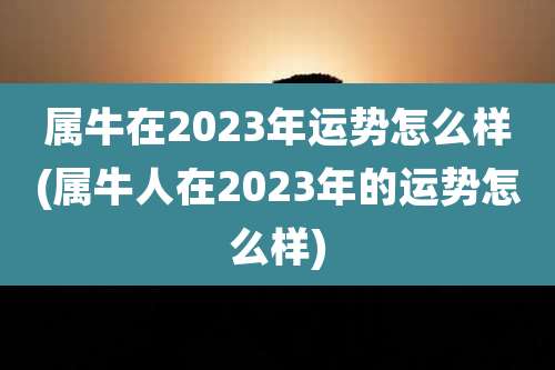 属牛在2023年运势怎么样(属牛人在2023年的运势怎么样)