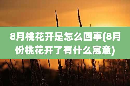 8月桃花开是怎么回事(8月份桃花开了有什么寓意)