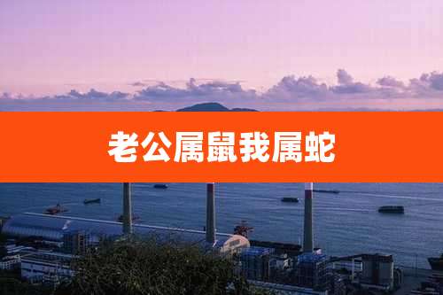 老公属鼠我属蛇