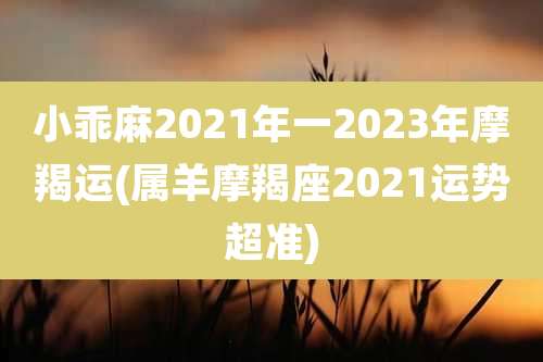 小乖麻2021年一2023年摩羯运(属羊摩羯座2021运势超准)