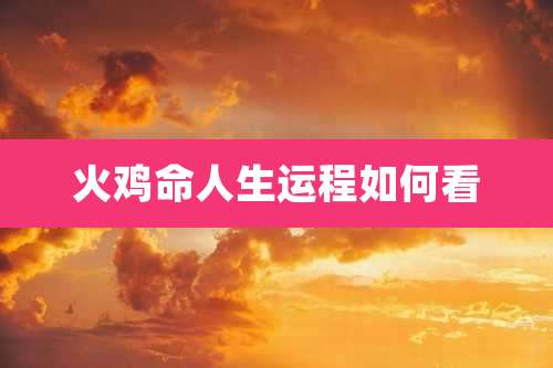 火鸡命人生运程如何看