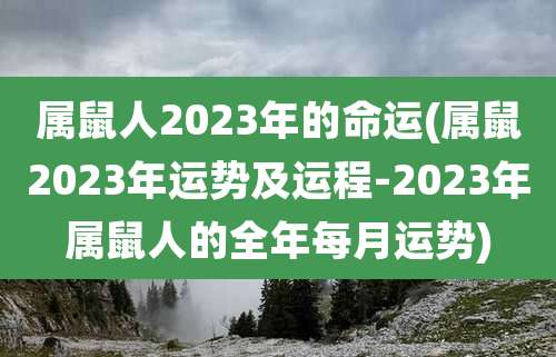 属鼠人2023年的命运(属鼠2023年运势及运程-2023年属鼠人的全年每月运势)