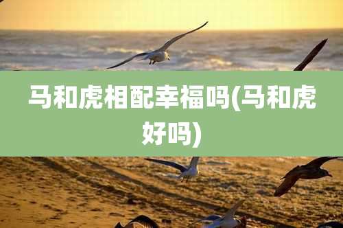 马和虎相配幸福吗(马和虎好吗)