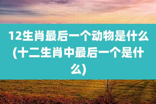 12生肖最后一个动物是什么(十二生肖中最后一个是什么)