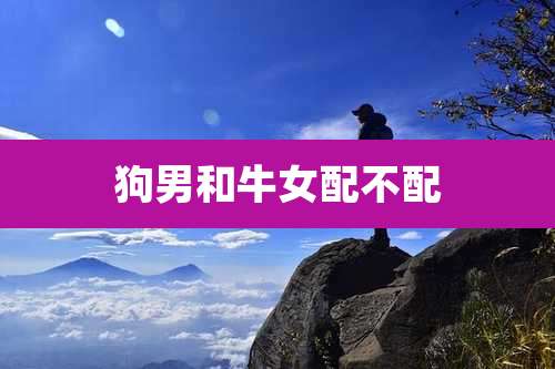 狗男和牛女配不配
