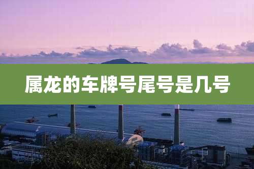 属龙的车牌号尾号是几号