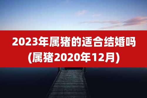 2023年属猪的适合结婚吗(属猪2020年12月)