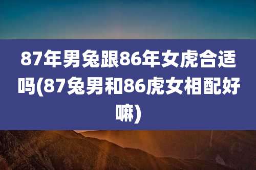 87年男兔跟86年女虎合适吗(87兔男和86虎女相配好嘛)