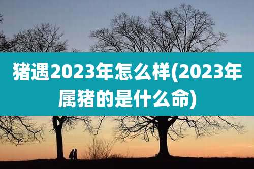 猪遇2023年怎么样(2023年属猪的是什么命)