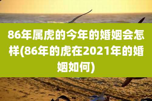 86年属虎的今年的婚姻会怎样(86年的虎在2021年的婚姻如何)