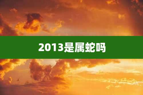 2013是属蛇吗