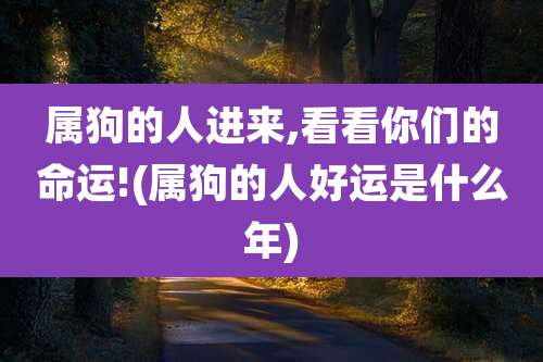 属狗的人进来,看看你们的命运!(属狗的人好运是什么年)