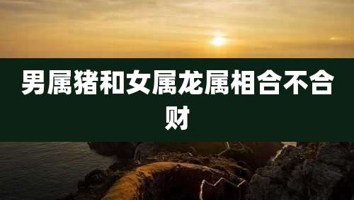 男属猪和女属龙属相合不合财