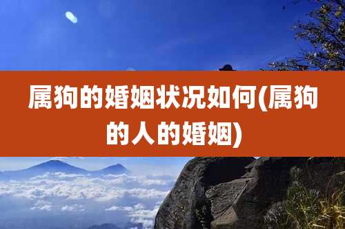 属狗的婚姻状况如何(属狗的人的婚姻)