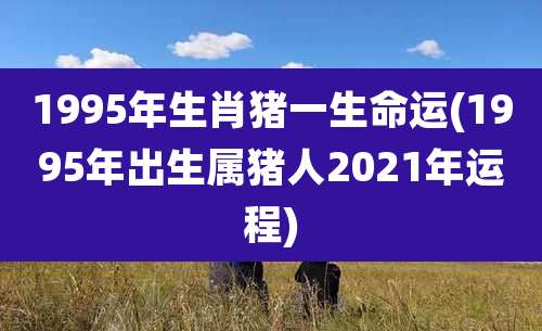 1995年生肖猪一生命运(1995年出生属猪人2021年运程)