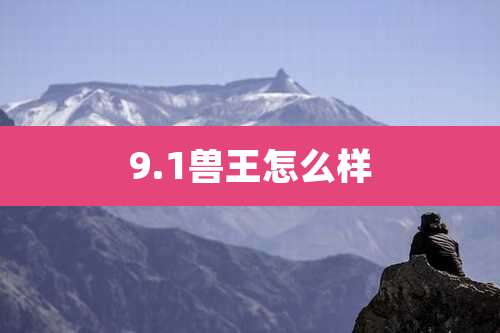 9.1兽王怎么样
