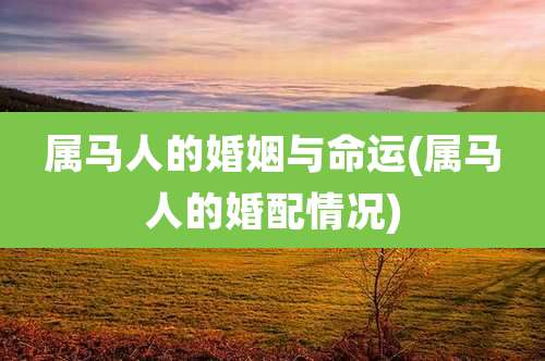 属马人的婚姻与命运(属马人的婚配情况)