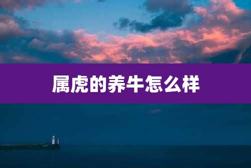 属虎的养牛怎么样