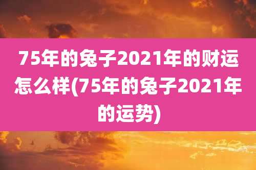 75年的兔子2021年的财运怎么样(75年的兔子2021年的运势)