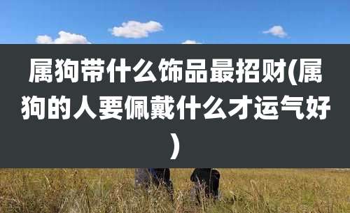 属狗带什么饰品最招财(属狗的人要佩戴什么才运气好)