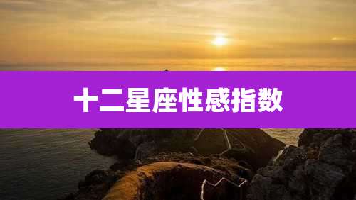 十二星座性感指数