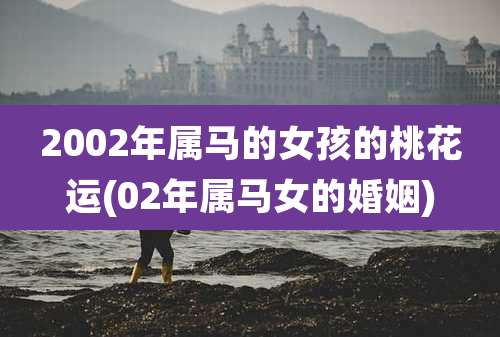 2002年属马的女孩的桃花运(02年属马女的婚姻)