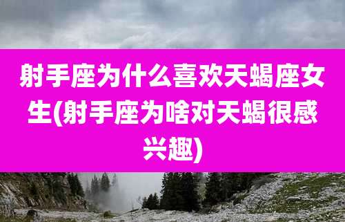 射手座为什么喜欢天蝎座女生(射手座为啥对天蝎很感兴趣)
