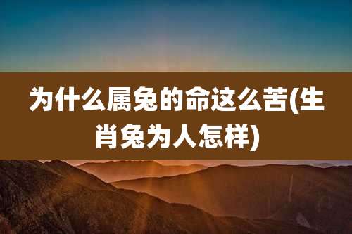 为什么属兔的命这么苦(生肖兔为人怎样)