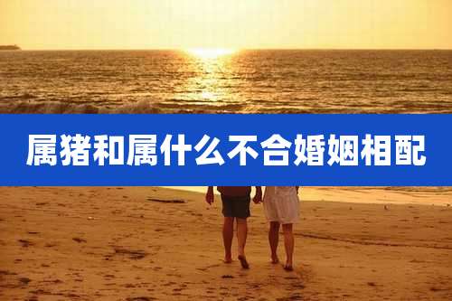 属猪和属什么不合婚姻相配