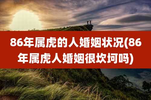 86年属虎的人婚姻状况(86年属虎人婚姻很坎坷吗)