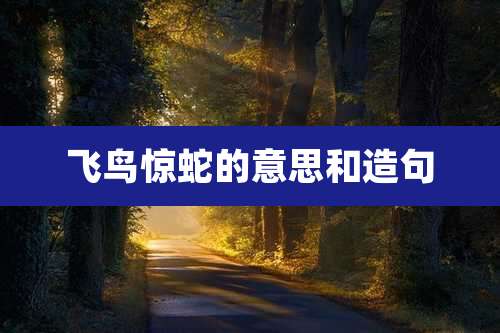 飞鸟惊蛇的意思和造句