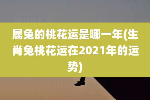 属兔的桃花运是哪一年(生肖兔桃花运在2021年的运势)