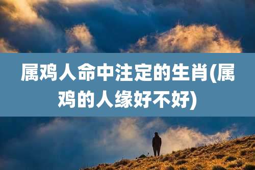 属鸡人命中注定的生肖(属鸡的人缘好不好)