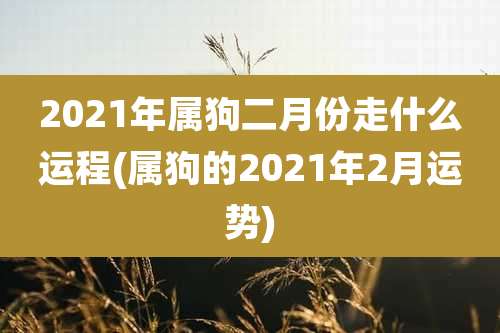 2021年属狗二月份走什么运程(属狗的2021年2月运势)