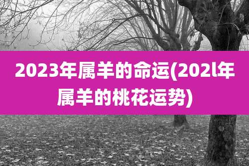 2023年属羊的命运(202l年属羊的桃花运势)