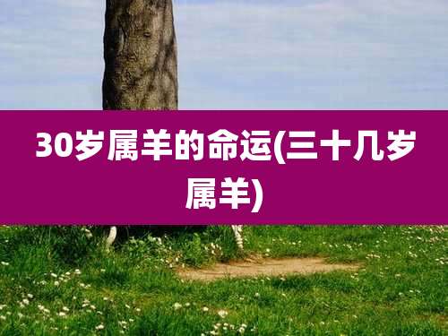 30岁属羊的命运(三十几岁属羊)