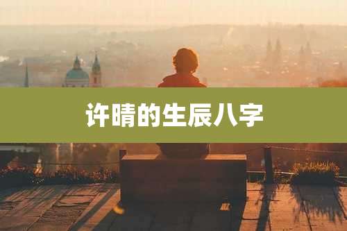 许晴的生辰八字