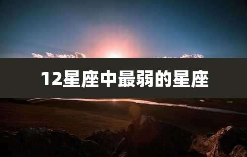 12星座中最弱的星座