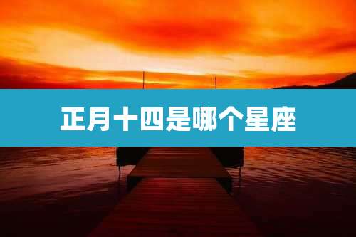 正月十四是哪个星座