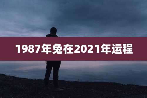 1987年兔在2021年运程