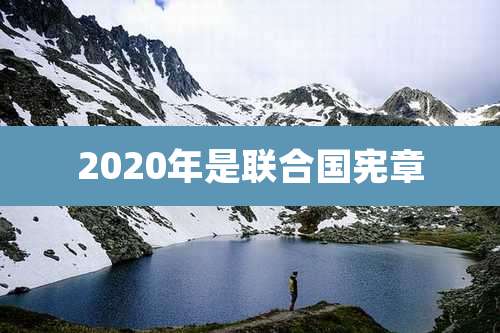 2020年是联合国***